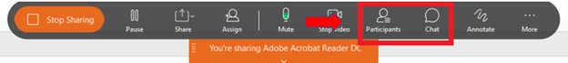 Image of participant and chat options