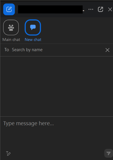 Example of Zoom chat window